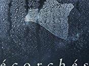 Chronique "Écorchés Vifs" Mathias P.Sagan