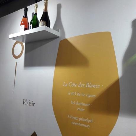 L’Instant Champagnes : le concept-store des Champagnes de Vignerons !
