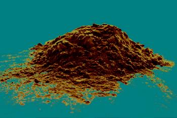 Prévenir l'infarctus: les bienfaits du chocolat noir confirmés