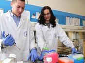 ÉPITHÉLIALISATION plaies diabétiques: peptide-hydrogel ferme fois plus vite PNAS