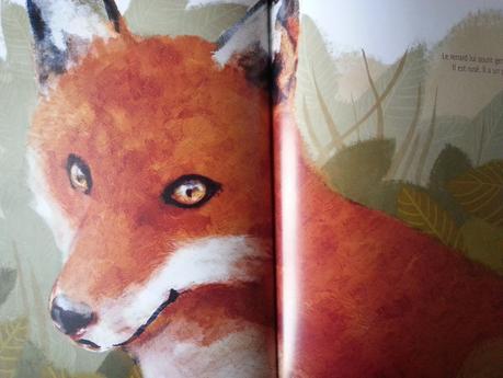 Le renard Tokela. POG et Marianne ALEXANDRE - 2016 (Dès 5 ans)