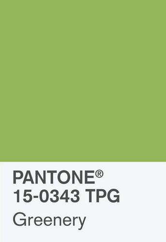 Greenery, élue couleur de l’année 2017 par Pantone