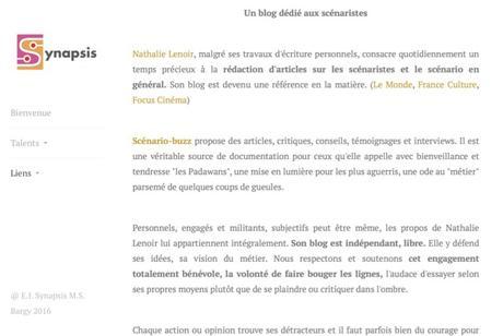 Scénario-Buzz à l’honneur sur le site de Synapsis!