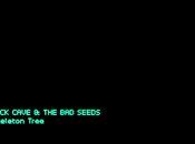 Nick Cave Seeds Skeleton Tree