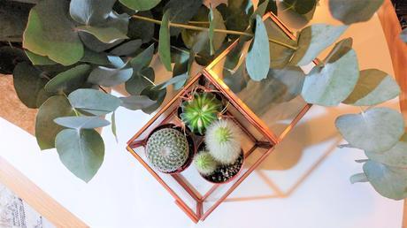 table-vintage-decoration-pimkie-home-cactus-eucalyptus