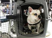 apprendre cuisine marocaine casablanca