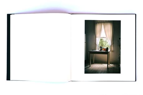 WILLIAM EGGLESTON – THE DEMOCRATIC FOREST – SELECTED WORKS