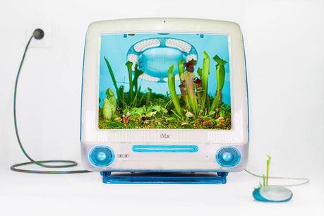 APPLE : les vieux appareils transformée en pots de fleurs !