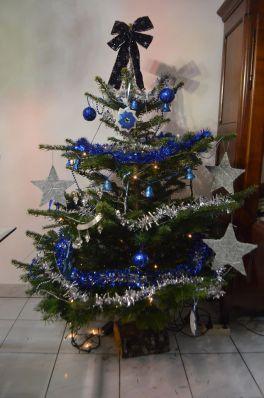 sapin-camille