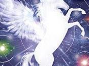 QUINTESSENCE spectacle magique aérien EPOUSTOUFLANT Paris