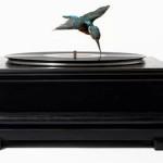 ART : Le surréalisme de Nancy Fouts