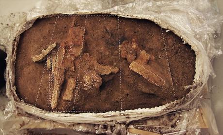 La boite à outils d'un charpentier viking découverte au Danemark