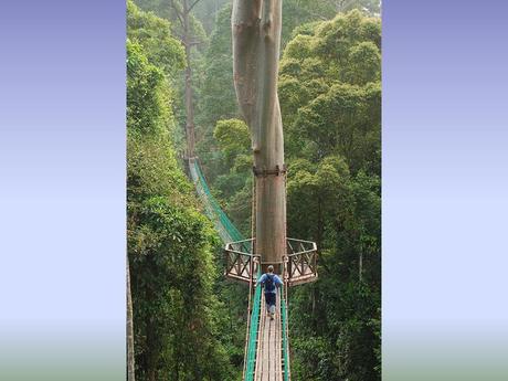 Divers - Chemins fascinants - 2