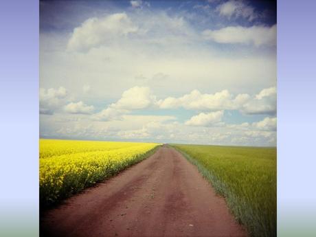 Divers - Chemins fascinants - 2