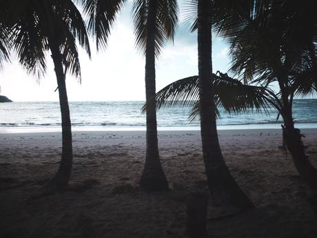 Du soleil en hiver : la Baie de Samana.