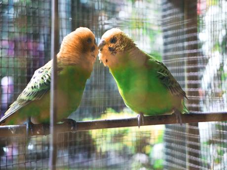 Du soleil en hiver : la Baie de Samana.