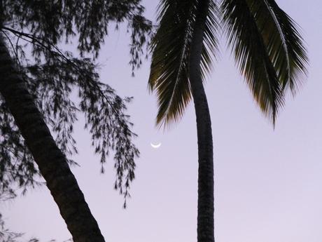 Du soleil en hiver : la Baie de Samana.