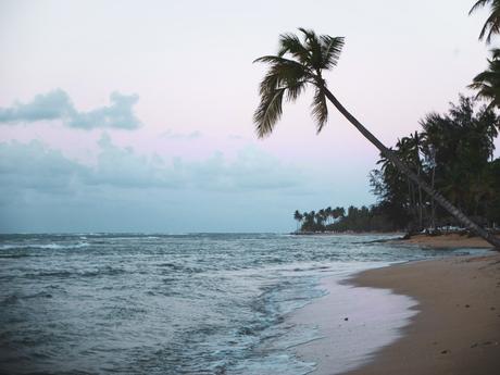 Du soleil en hiver : la Baie de Samana.