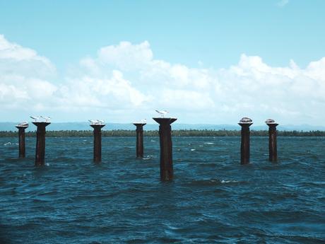 Du soleil en hiver : la Baie de Samana.