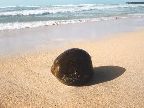 Du soleil en hiver : la Baie de Samana.