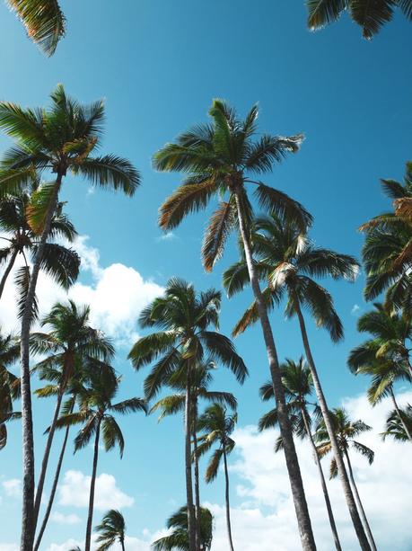 Du soleil en hiver : la Baie de Samana.