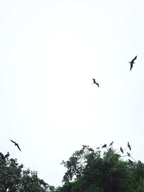 Du soleil en hiver : la Baie de Samana.