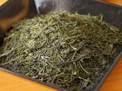 Sencha Fuji-kaori Fujieda, histoire cultivars