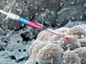 CANCER L'antidiabétique metformine confirme promesses anti-tumorales Science Advances