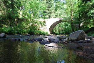 C.O.M. - tome 1 : L'Activation - Nelsa Piras