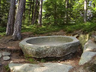 C.O.M. - tome 1 : L'Activation - Nelsa Piras