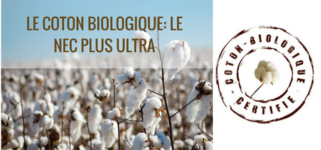 le-coton-biologique-le-nec-plus-ultra-1