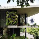 DECO : Planchonella Dream House!
