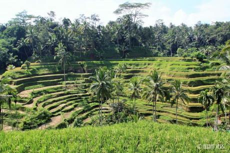 Ubud : la décontract’ de Bali