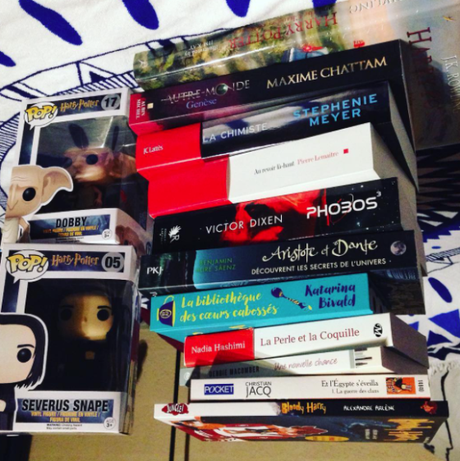 [Bilan mensuel] • Décembre • 2016/12