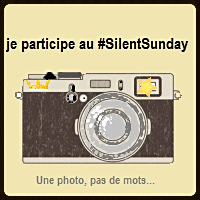 Silent Sunday 2017 #1