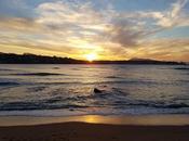 Dernier journal (pas vraiment) décalé 2016, Saint Jean-de-Luz