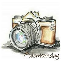 Silent sunday 25 le 1er de l'an 2017