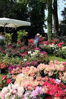 Journées des plantes de chantilly, printemps et automne 2016