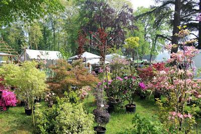 Journées des plantes de chantilly, printemps et automne 2016