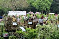 Journées des plantes de chantilly, printemps et automne 2016