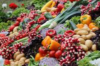 Journées des plantes de chantilly, printemps et automne 2016