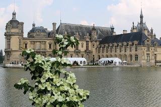 Journées des plantes de chantilly, printemps et automne 2016