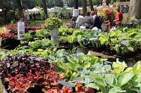 Journées des plantes de chantilly, printemps et automne 2016