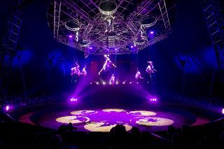 Quintessence par le Cirque Alexis Gruss Quintessence par le Cirque Alexis Gruss