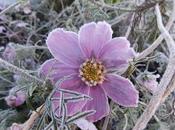 Excellente année 2017