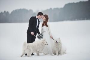 mariage neigeux tout blanc avec chiens