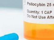 DÉPRESSION L'hallucinogène psilocybine toujours magique contre l'anxiété Psychopharmacology