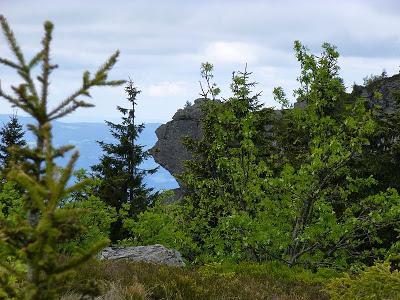 Richard-Wagner-Kopf: la tête de Richard Wagner, une formation rocheuse dans le Bayerischer Wald