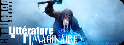 Chroniques des Enchanteurs, tome 2 - 17 Lunes