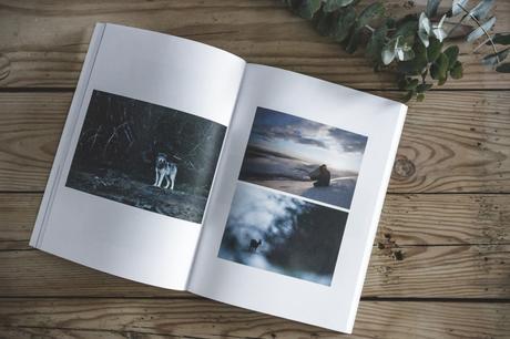 Kaktus, une invitation au voyage